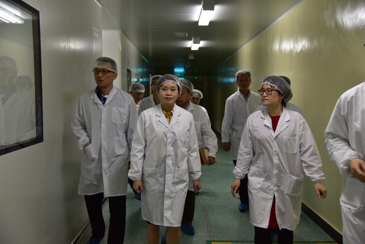 龍華區區委常委、常務副區長張納沙率隊蒞臨國藥致君檢查指導1.jpg
